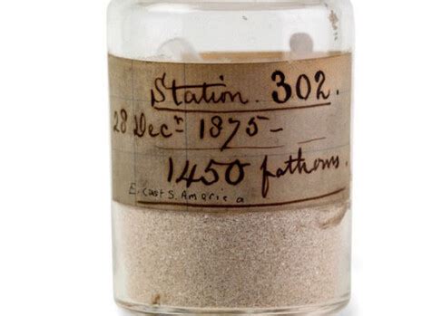 Mineralogy collections | Meer