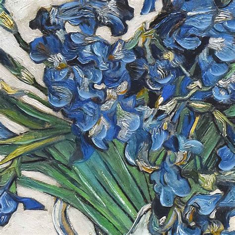 Framed Irises Canvas Wall Art, 29x23