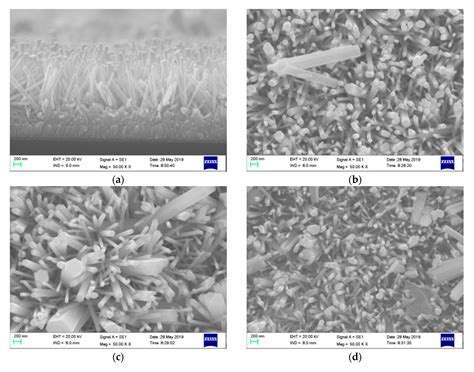 Photocathodic Protection of Cobalt Doped ZnO Nanorod Arrays for 316 ...