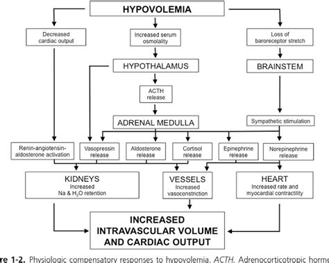 Shock Pathophysiology 的图像结果