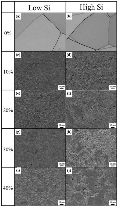 Effect of Silicon on the Martensitic Nucleation and Transformation of ...