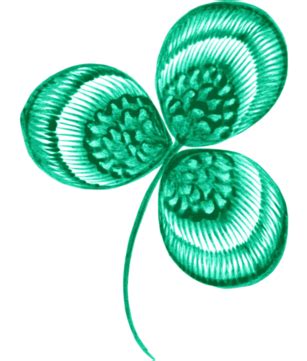 Image result for Spring Texture PNG