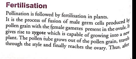 explain the process of fertilization in a flower what happens to the ...