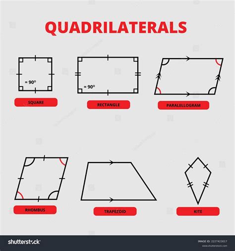 4+ Hundred Types Of Quadrilaterals Royalty-Free Images, Stock Photos ...