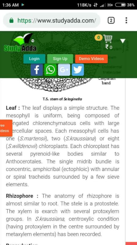 Embryonal leaves of Pteridium are -a)Simpleb)Bipinnate-Paripinnate c ...