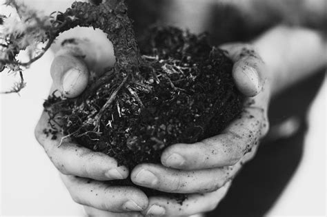 Janet Trevino Cuddler 的图像结果