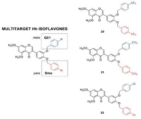 A Smo/Gli Multitarget Hedgehog Pathway Inhibitor Impairs Tumor Growth