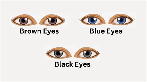 The Colour Of Your Eyes Can Reveal Your Hidden Personality Traits ...