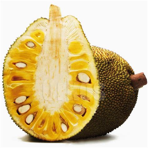 ''Jackfruit'' comes from Portuguese Jaca. Vegetarian Meat and very healthy | Jackfruit, Fruit ...