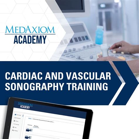 Help Your Future Sonographers Refine Their Cardiac and Vascular ...