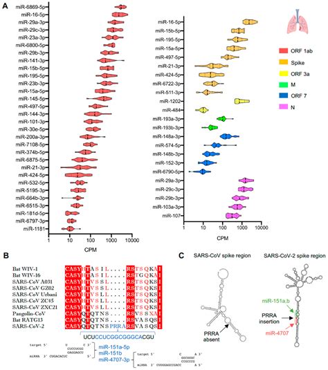 Computational Analysis of Targeting SARS-CoV-2, Viral Entry Proteins ...