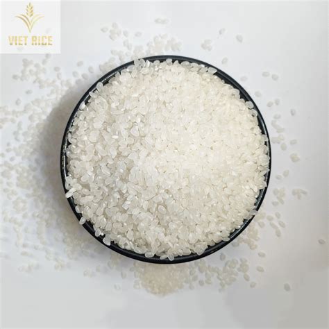 Vietnamese Rice Japonica 5% Broken -best Ground Grain White Rice ...