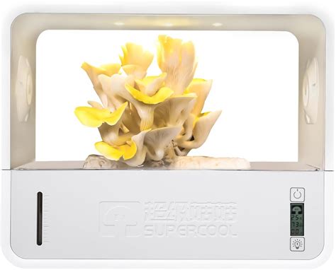 Amazon.com : Crownow Mushroom Grow Tent with Automatically Adjusts ...