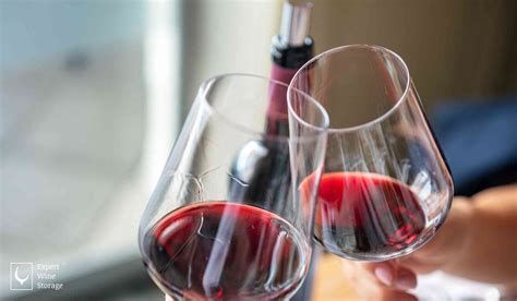 Do You Refrigerate Red Wine? | Expert Wine Storage