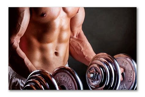 Buy Tamatina Gym Posters - Gym Posters Motivational - Gym Posters for ...