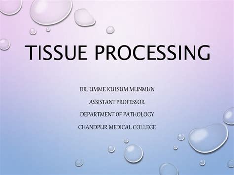 Tissue Processing 的图像结果