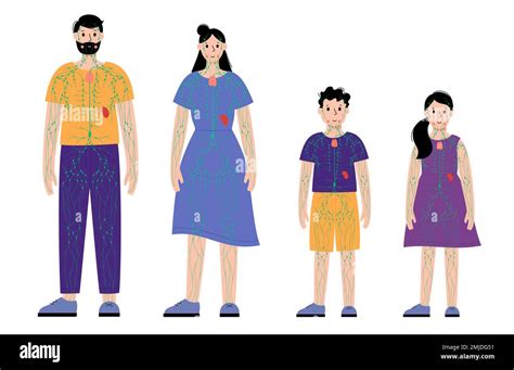 Image result for Animation On Lymphatic System