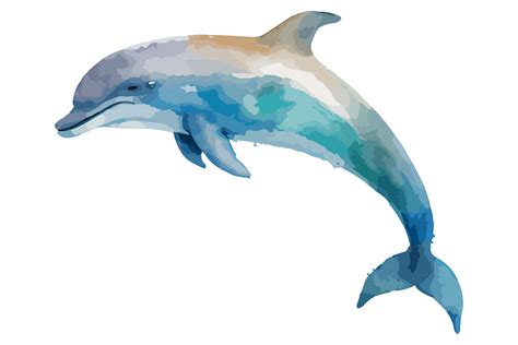 Watercolor Dolphin Vector Illustration Graphic by BreakingDots ...