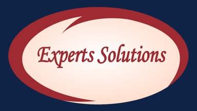 Experts Solutions Logo