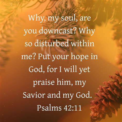 Psalm 42:11 in Various Languages on Pine Tree Branch