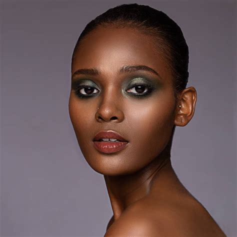 What is IBIS in Camera - Retouching Labs