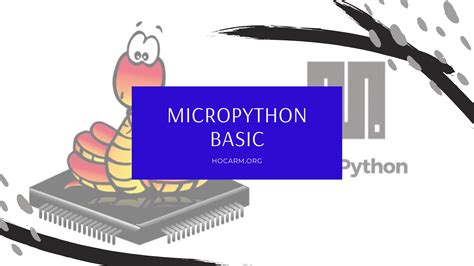 Image result for What Does Micro Python Look Like