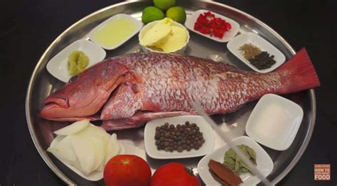 Image result for Clean Red Snapper