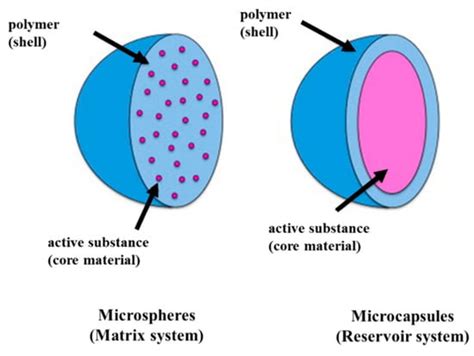 Microencapsulation of Natural Food Antimicrobials: Methods and Applications