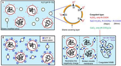 Effect of Calcium Chloride as a Coagulant on the Properties of ESBR ...