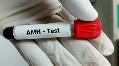 5 fertility markers every couple must understand before planning a family