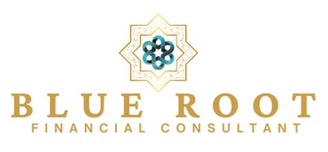 Financial Consultant | Virtual CFO Services & Fund Raising for Startups ...