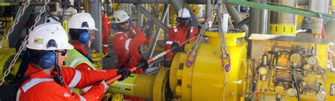 Vision International