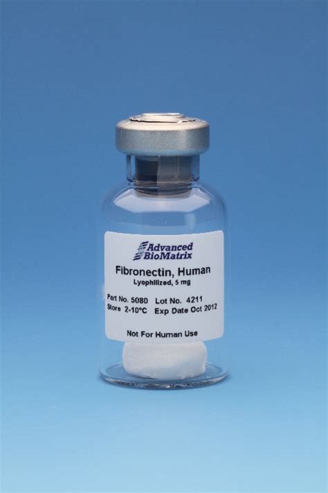 Image result for Fibronectin Medication