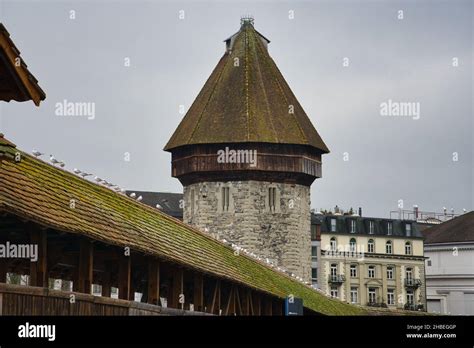 Image result for Chapel Bride