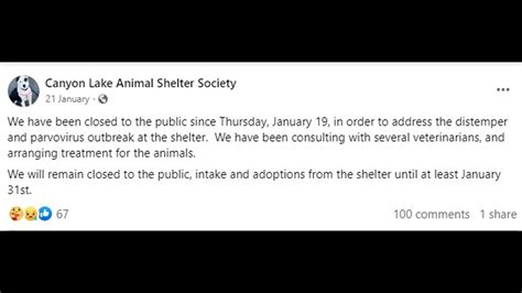 ‘Disappearing dogs and disease’: Protesters gather at Canyon Lake ...