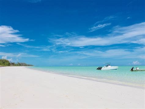 Mangrove Cay Tourism (2021): Best of Mangrove Cay, Bahamas - Tripadvisor