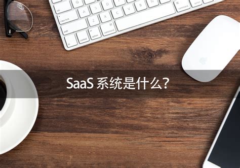 Saas:什么是SaaS模式？SaaS软件包括哪些？ InfoCode蓝畅信息技术有限公司