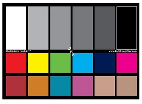 Using White Balance Card to Get Perfect Colors in Video
