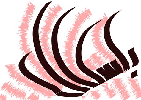 Image result for Write Pascal in Calligraphy