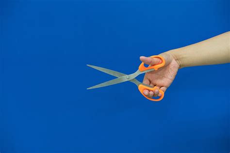 Image result for Scissors Uses