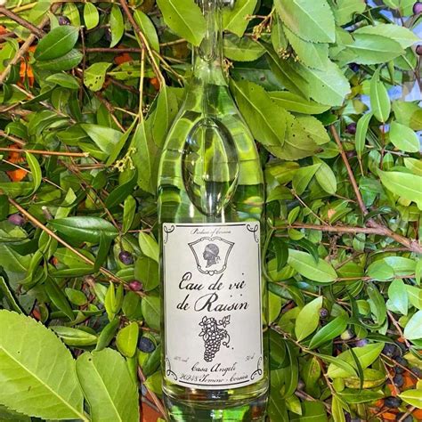 Commandez notre Eau de Vie de Raisin - CASA ANGELI chez LA MAISON DE ...