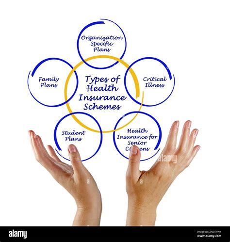 Types of Health Insurance 的图像结果