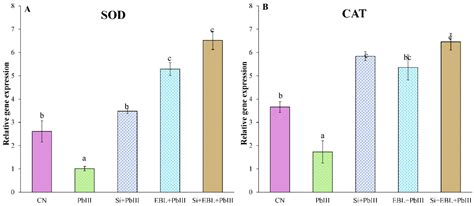 Alleviatory Effects of Silicon and 24-Epibrassinolide in Modulation of ...