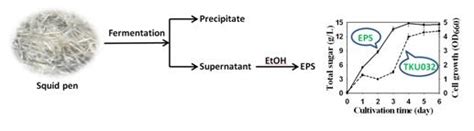 Production and Characterization of Antioxidant Properties of ...