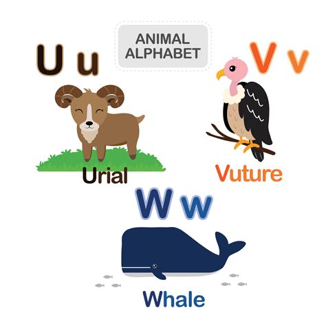 Letter U Animal Name
