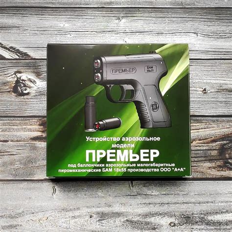 Аэрозольный пистолет ПРЕМЬЕР купить по выгодной цене с доставкой ...