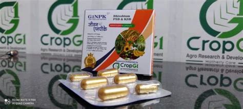 Bio Fertilizers Biocapsules - G1NPK Consortia Bio Fertilizer Gelatin ...