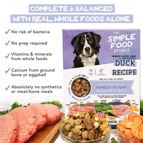 SIMPLE FOOD PROJECT 6-Pack Sample Bundle Freeze-Dried Dog Food, 6-oz ...
