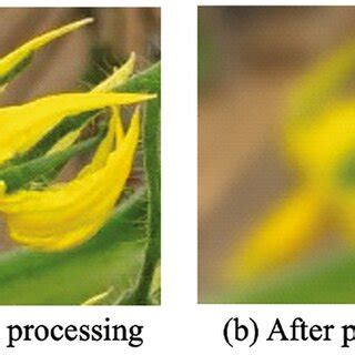 Image result for Gaussian Filter Tutorial