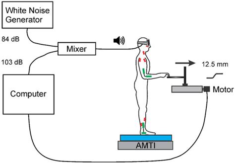 Influence of Pairing Startling Acoustic Stimuli with Postural Responses ...